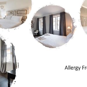 Novella Goldoni Suite-An Allergy Free Rooms Project